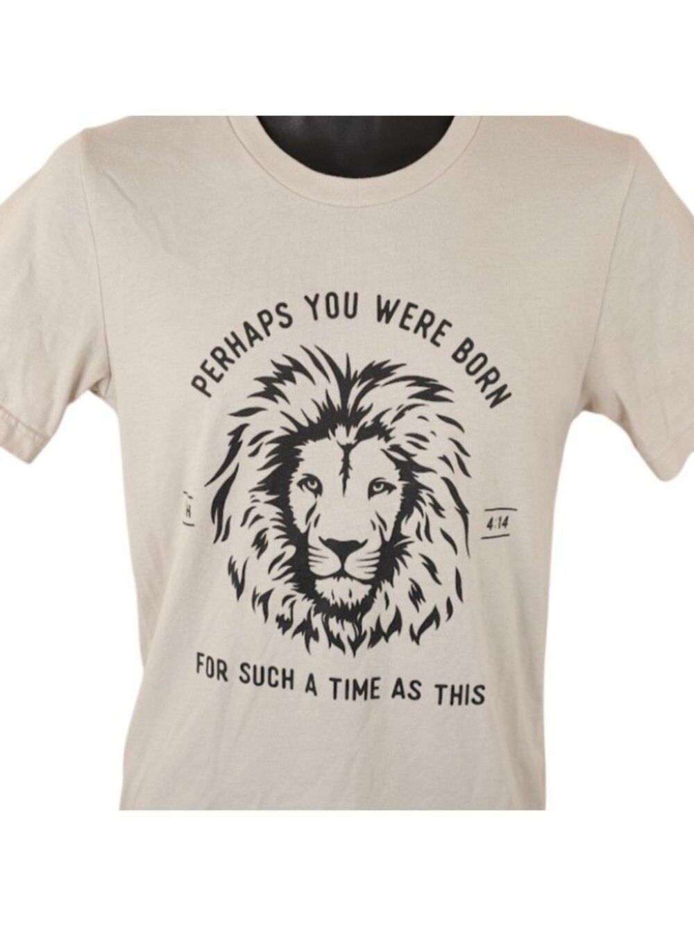 Jewish T Shirt Mens Size Small Beige Esther 4:14 Born For Such A Time